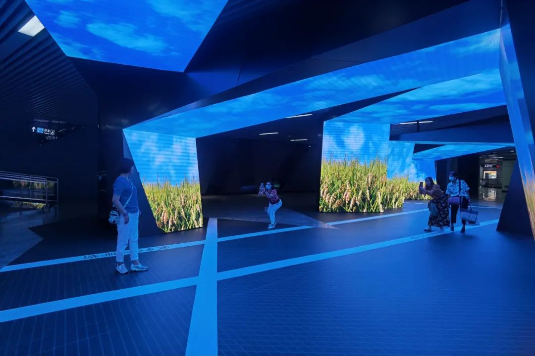 首页- Z6官网中国区人生就是博